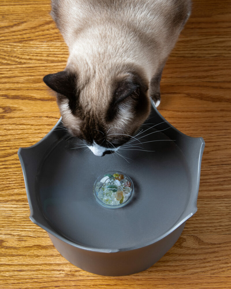 Wasserschale CrownJuwel